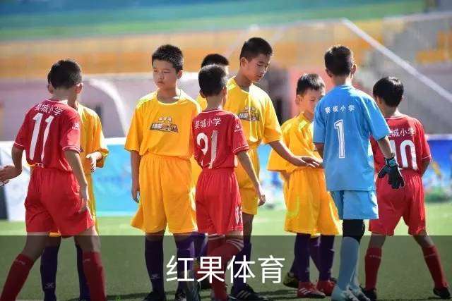 关于红果体育